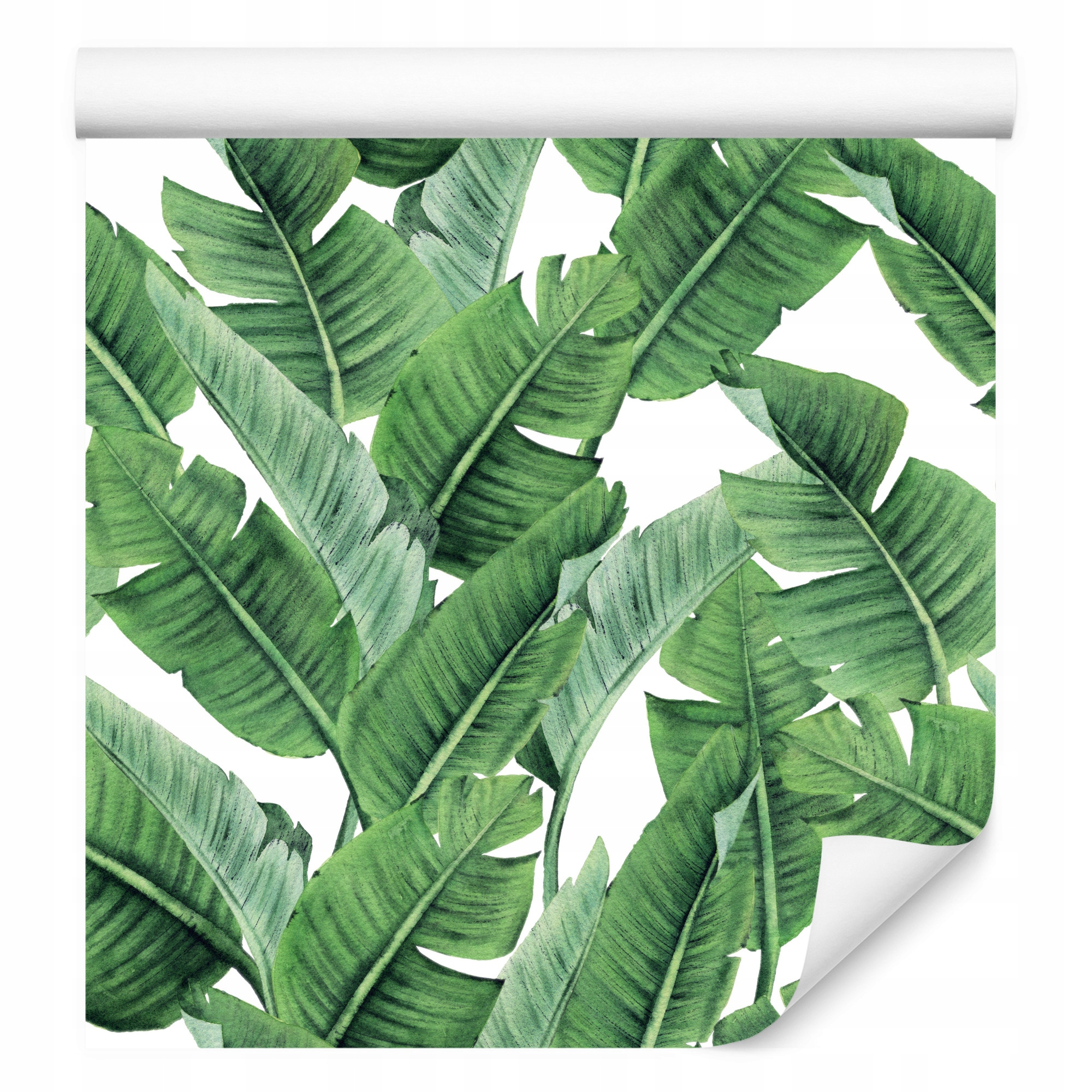 Tapeta do jídelny Barevné banánové listy Příroda Rostliny Abstrakce