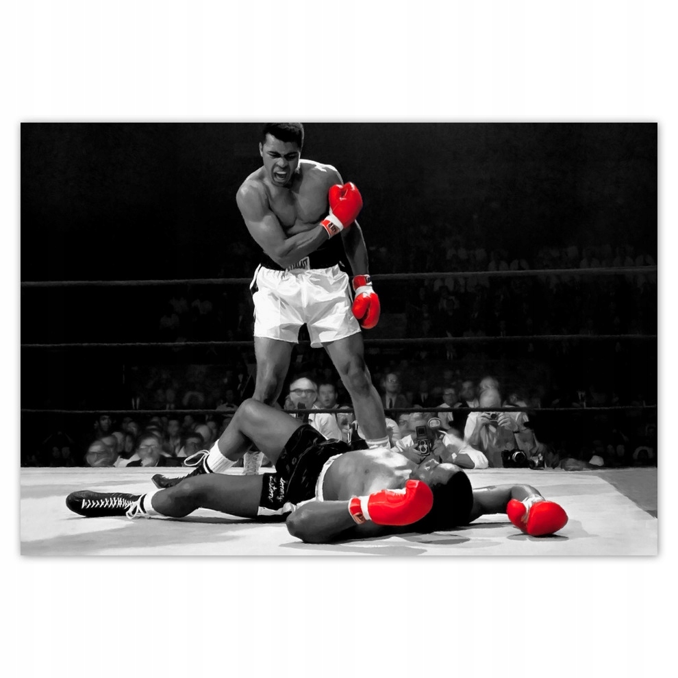 

Fototapety flizelina 104x70 Muhhamad Ali Bokser