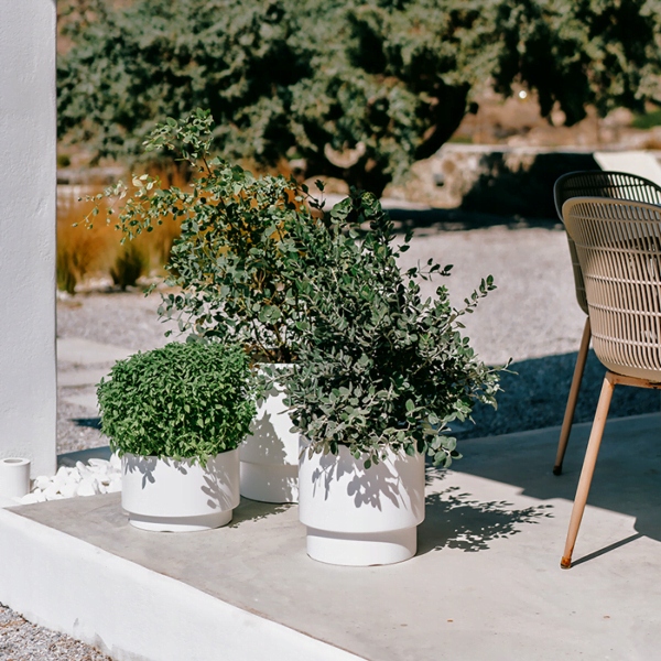 DONICZKA OSŁONKA NA KWIATY HEOS ZIELONA PINIA 40CM Marka Prosperplast