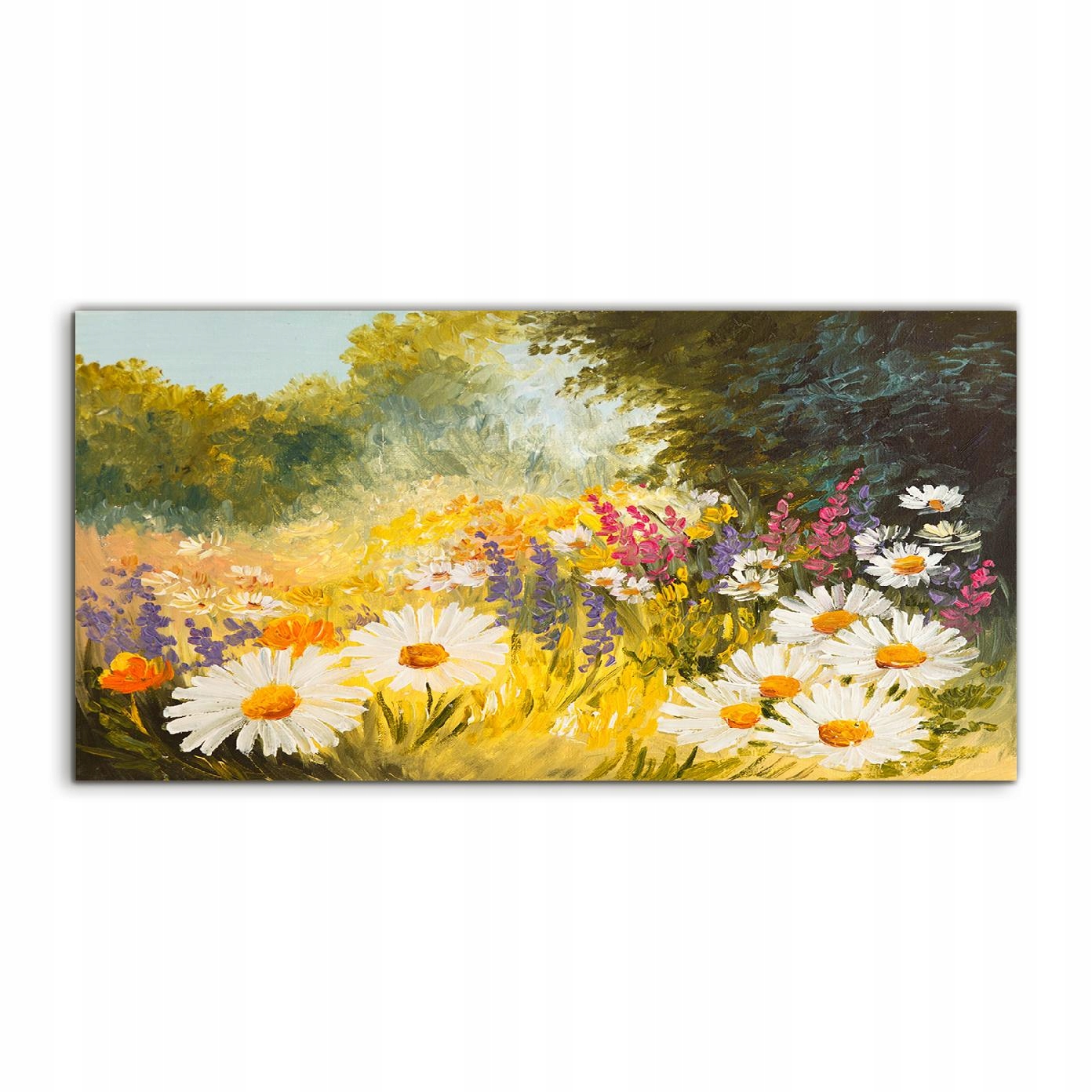 

Fotoobraz 140x70 na prezent Stokrotki Łąka Natura