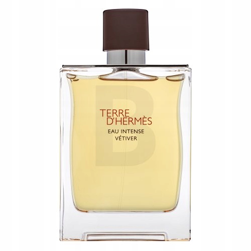 Hermès Terre D'Hermes Eau Intense Vetiver parfémovaná voda pro muže 200 ml