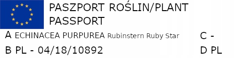 JEŻÓWKA Rubinstern Ruby Star - sadzonki w don. !!! Rodzaj rośliny Inny