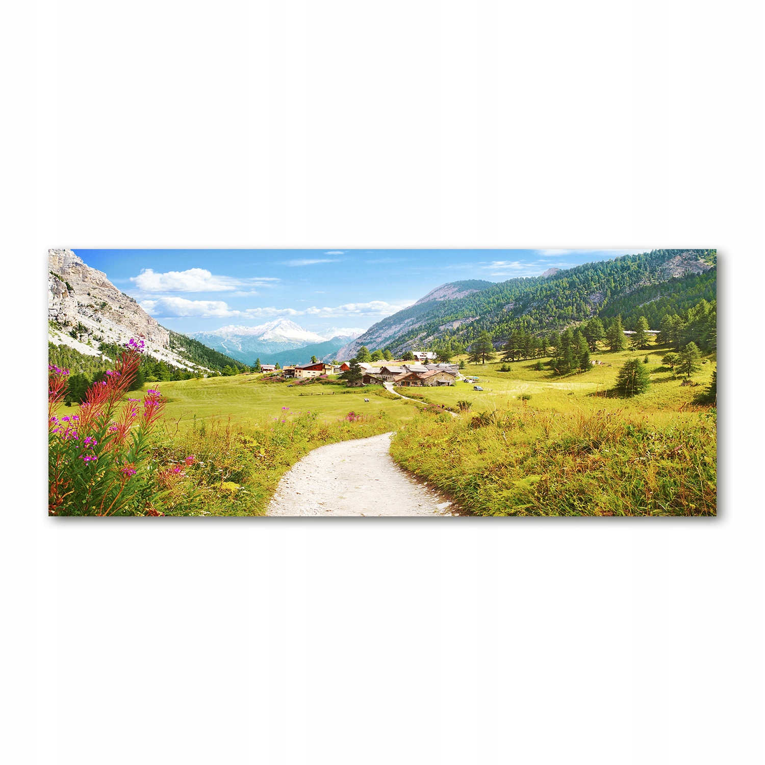 

Foto obraz szkło akryl Pastwisko w Alpach 125x50cm