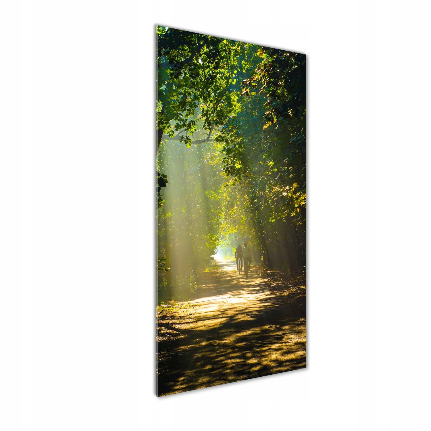 

Foto obraz szkło akrylowe Ścieżka w lesie 50x125cm