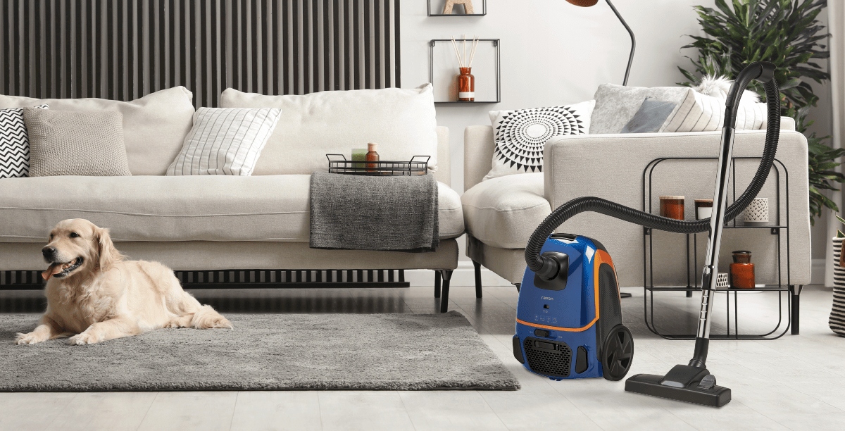 Odkurzacz tradycyjny RAVEN EO008 Rodzaj odkurzacza workowy