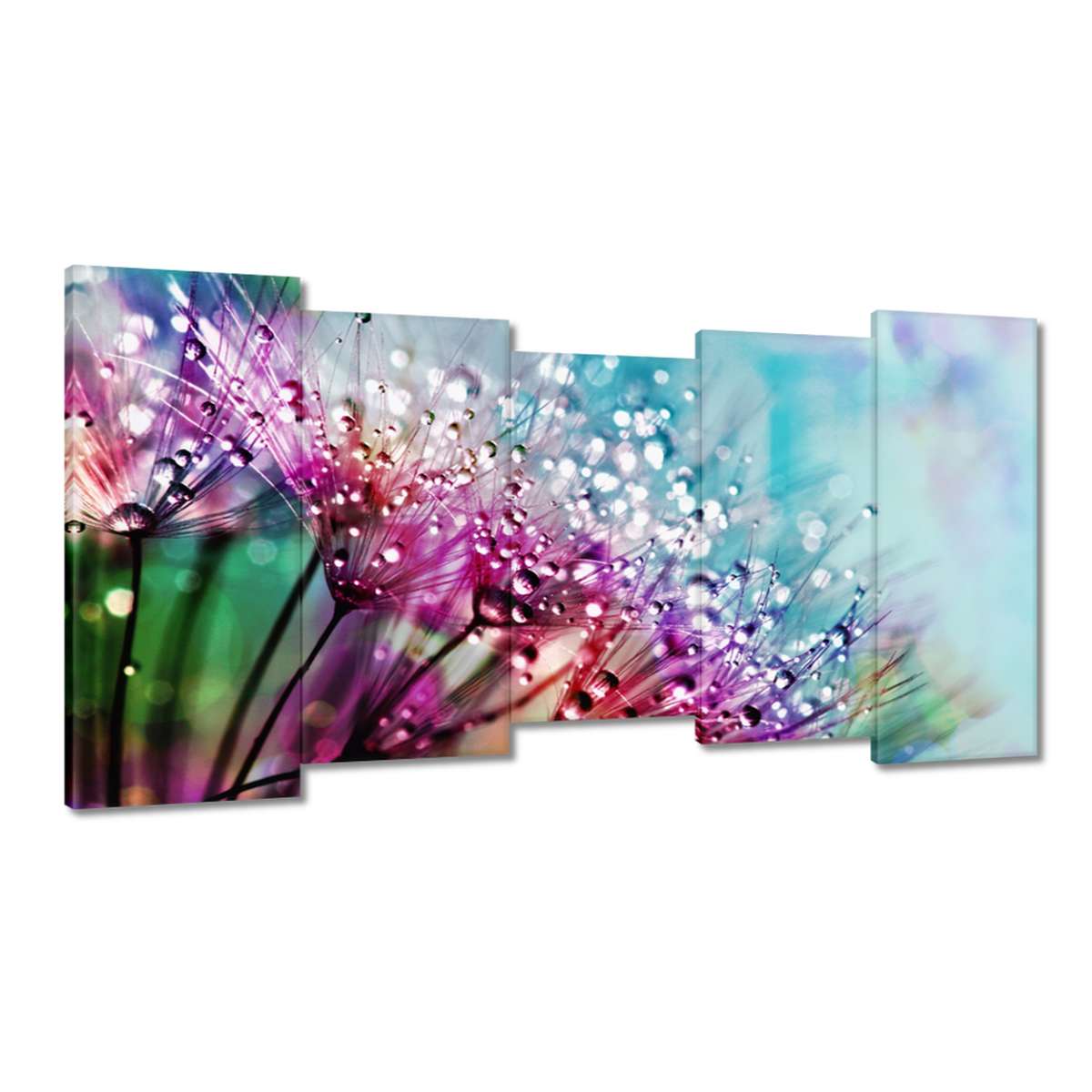 Obrazy 150x80 Kapky rosy Pampeliška