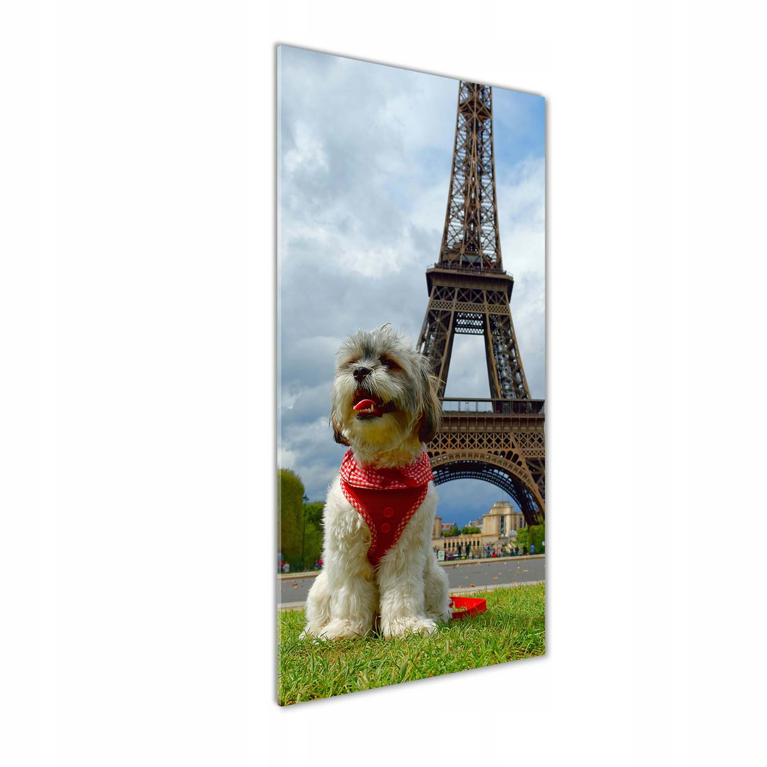 

Foto obraz akrylowy do salonu Pies w Paryżu 50x125