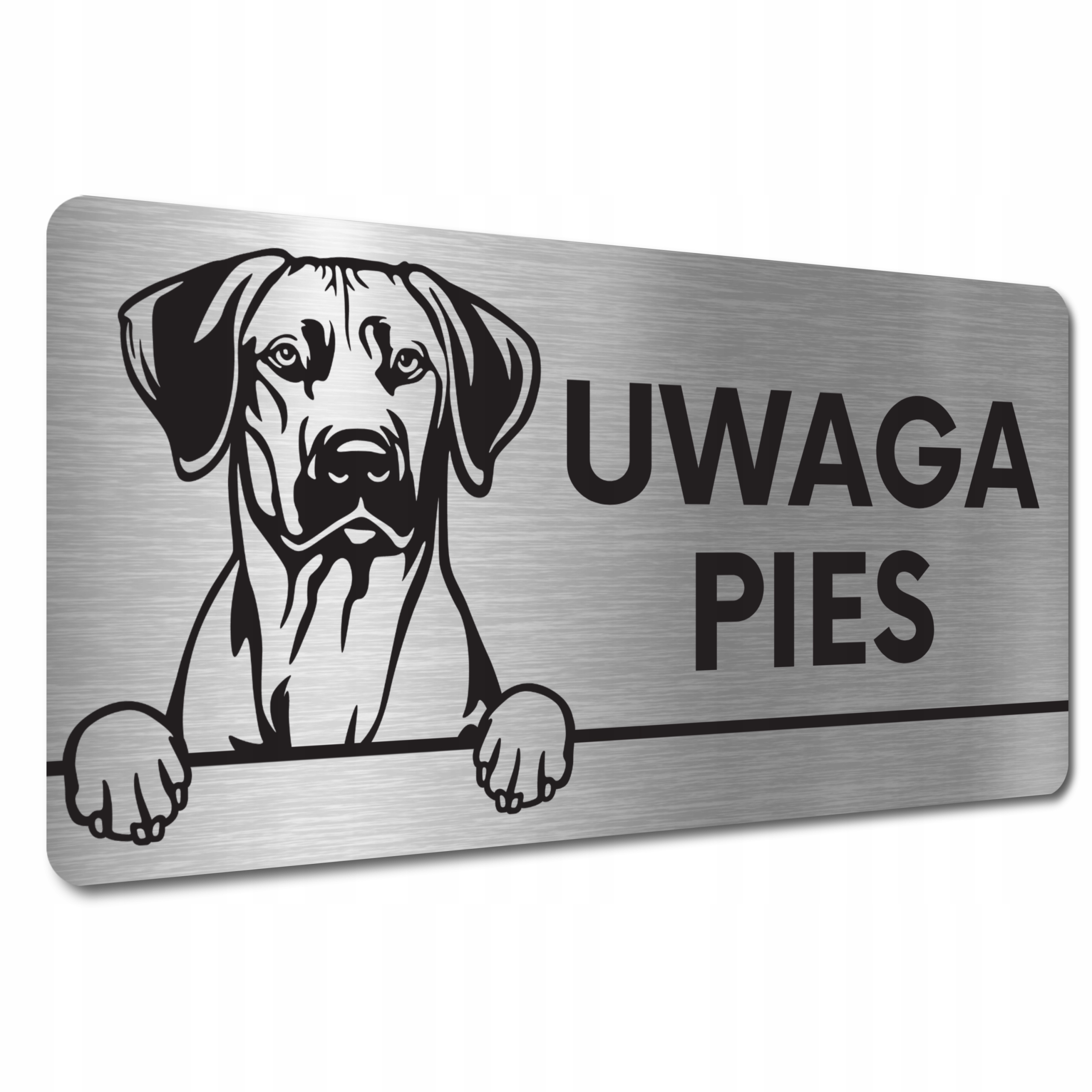 

Tabliczka Uwaga Pies Zły Pies Rhodesian ridgeback