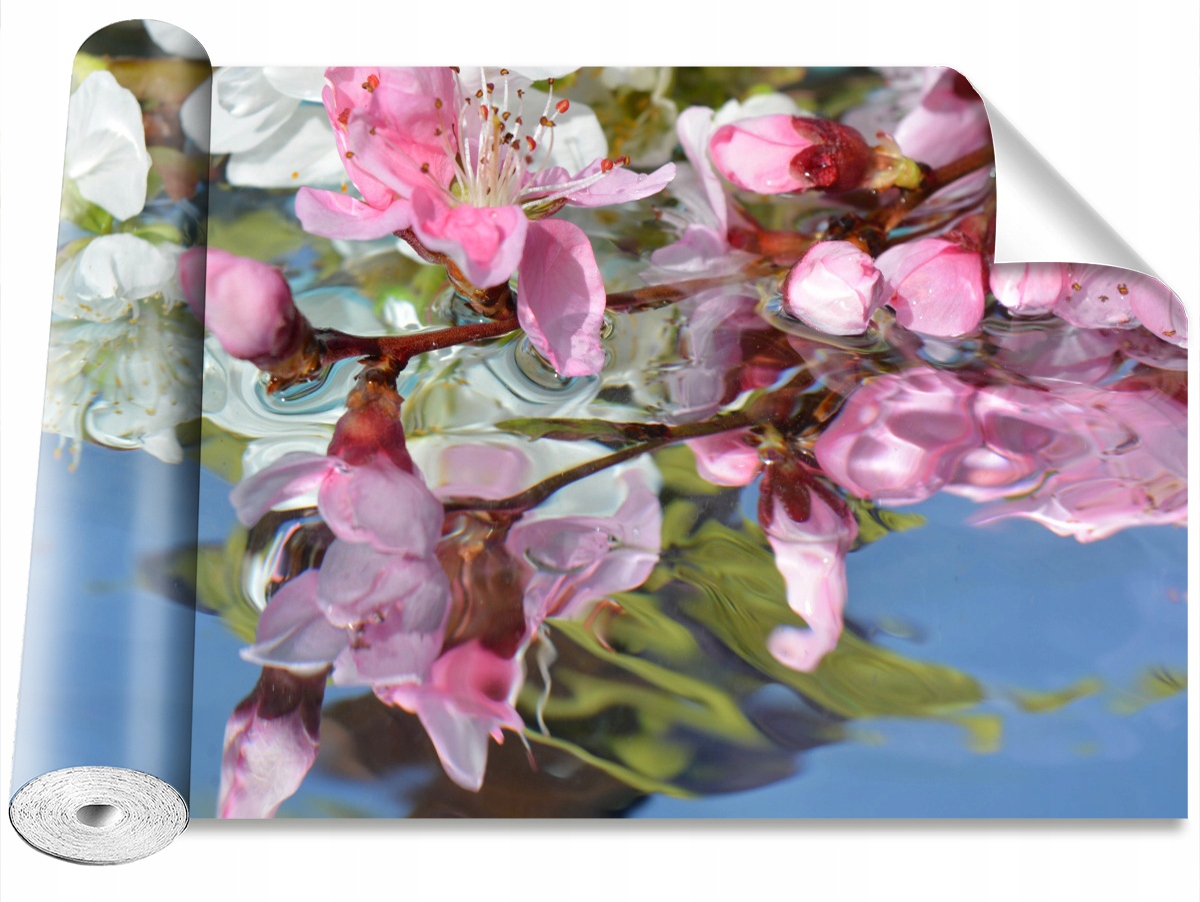 

Tapeta Samoprzylepna Kwiat wiśni Woda 104x70