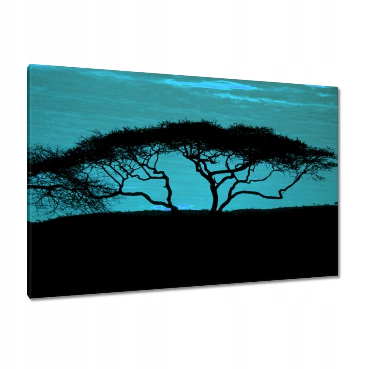 Obrazy 120x80 Akácie na savaně