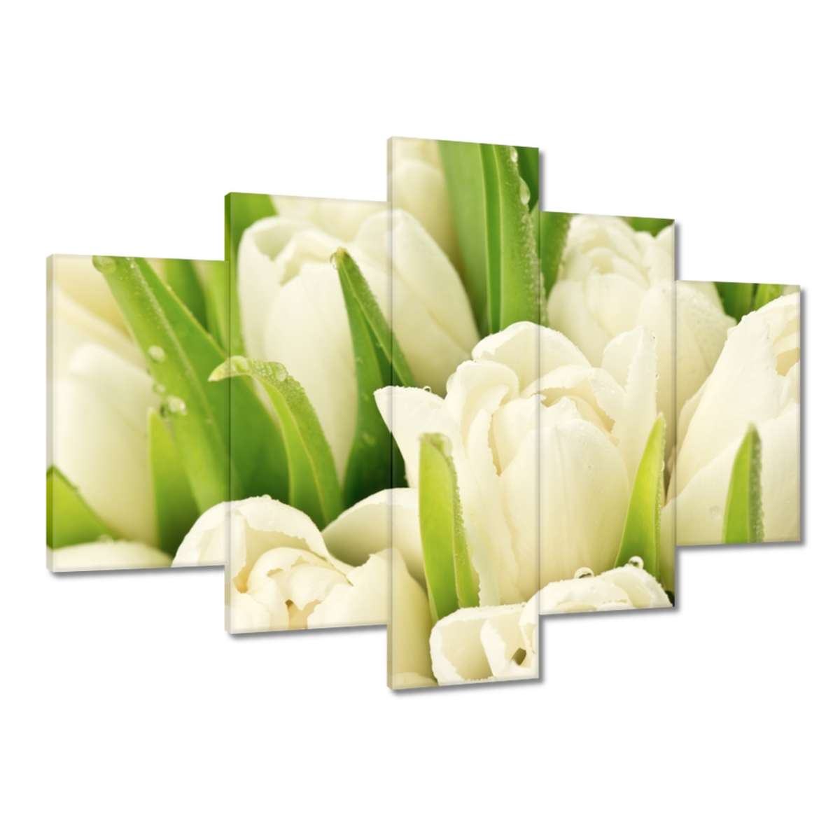 Obrazy 150x105 Jemné tulipány
