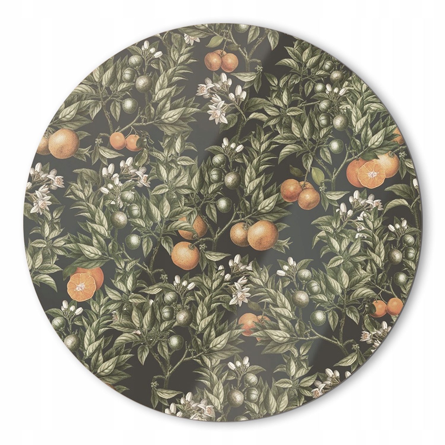 Závesný obraz do bytu Vintage pomaranče 80