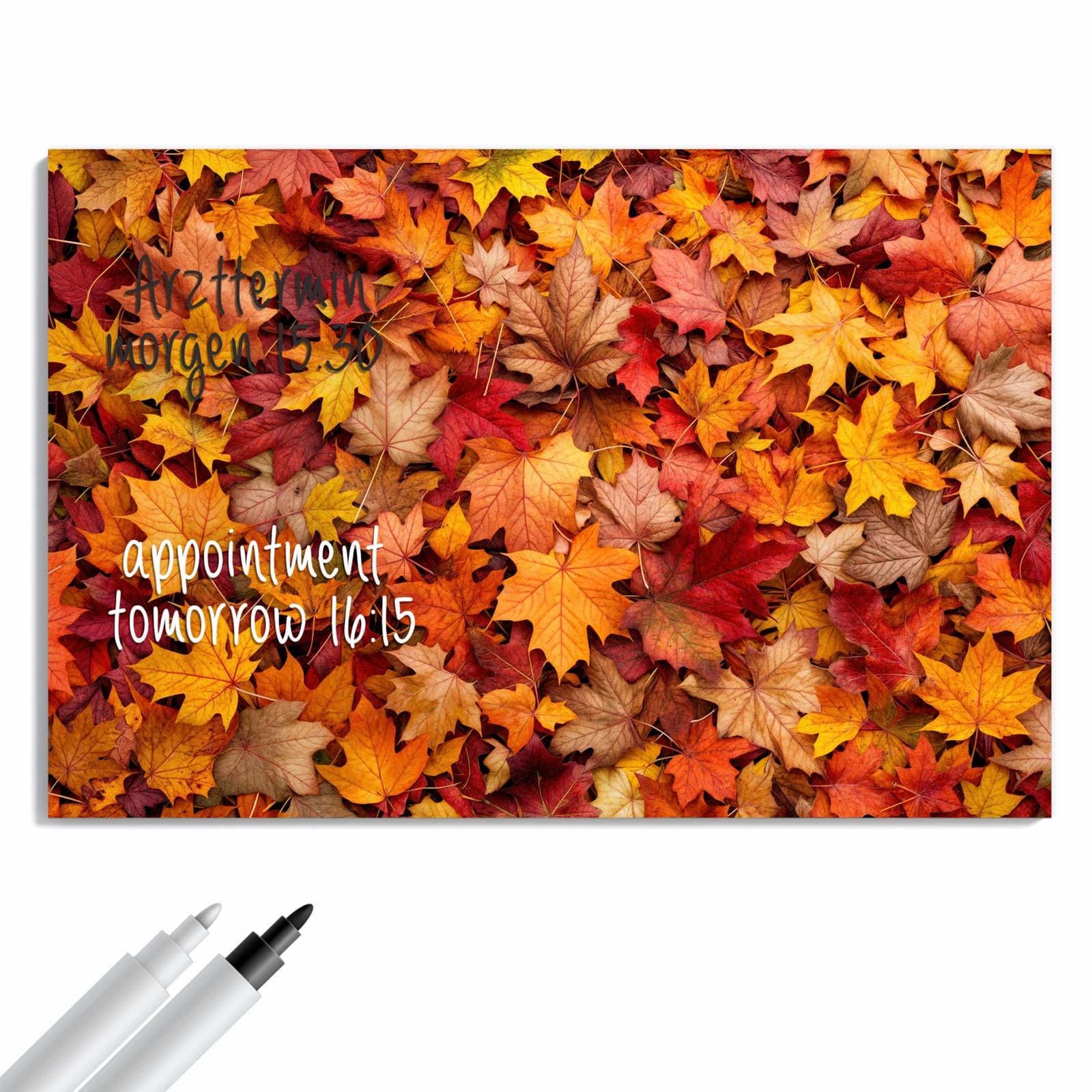 Magnetická tabule Podzimní listy 60 × 40 cm