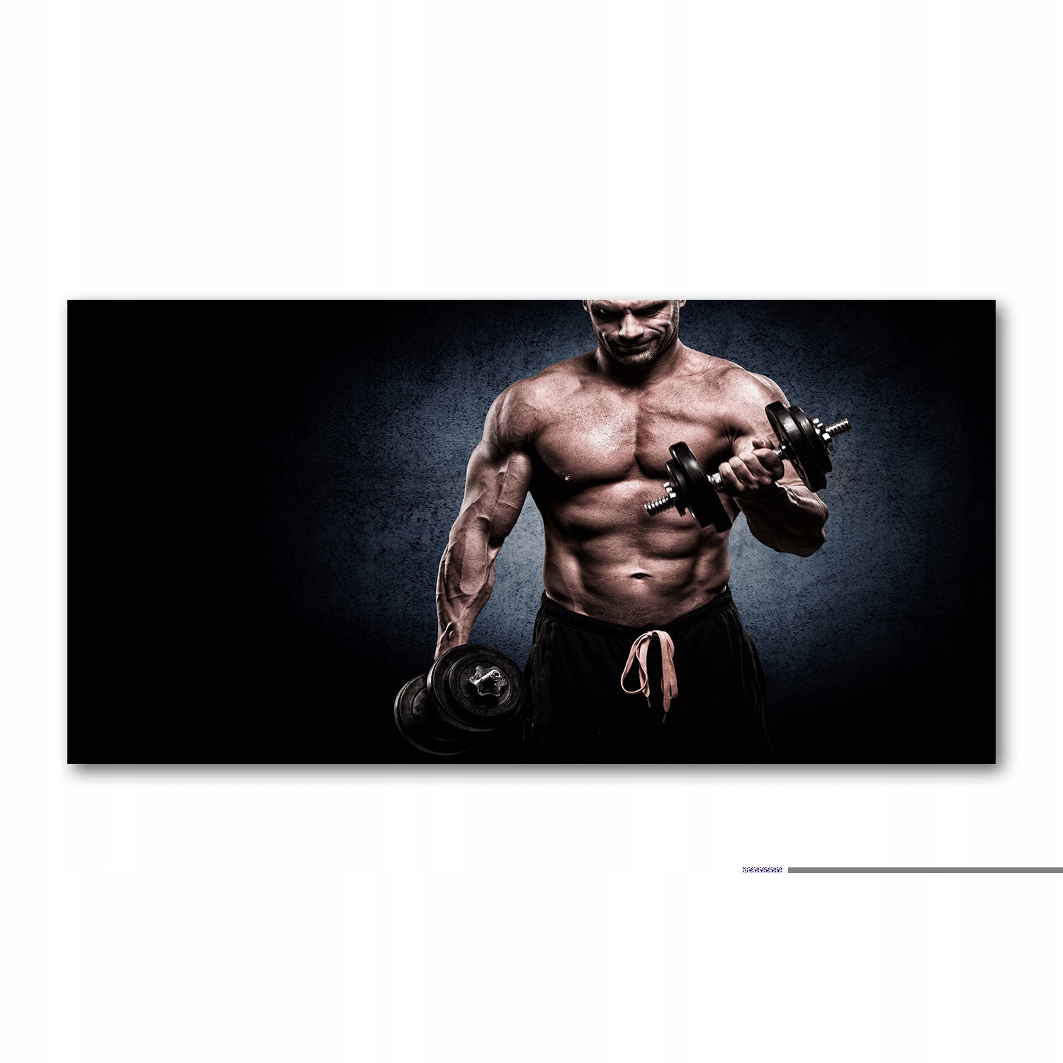 

Foto obraz akryl Budowa mięśni zdjęcie 140x70 cm