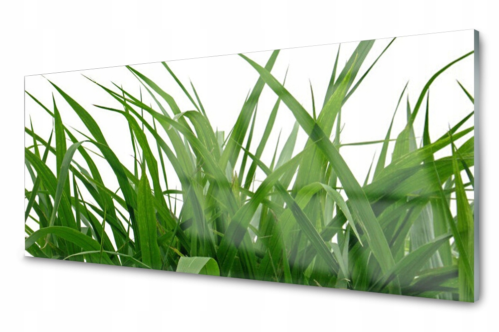 

Panel szklany do kuchni Trawa Roślina 125x50