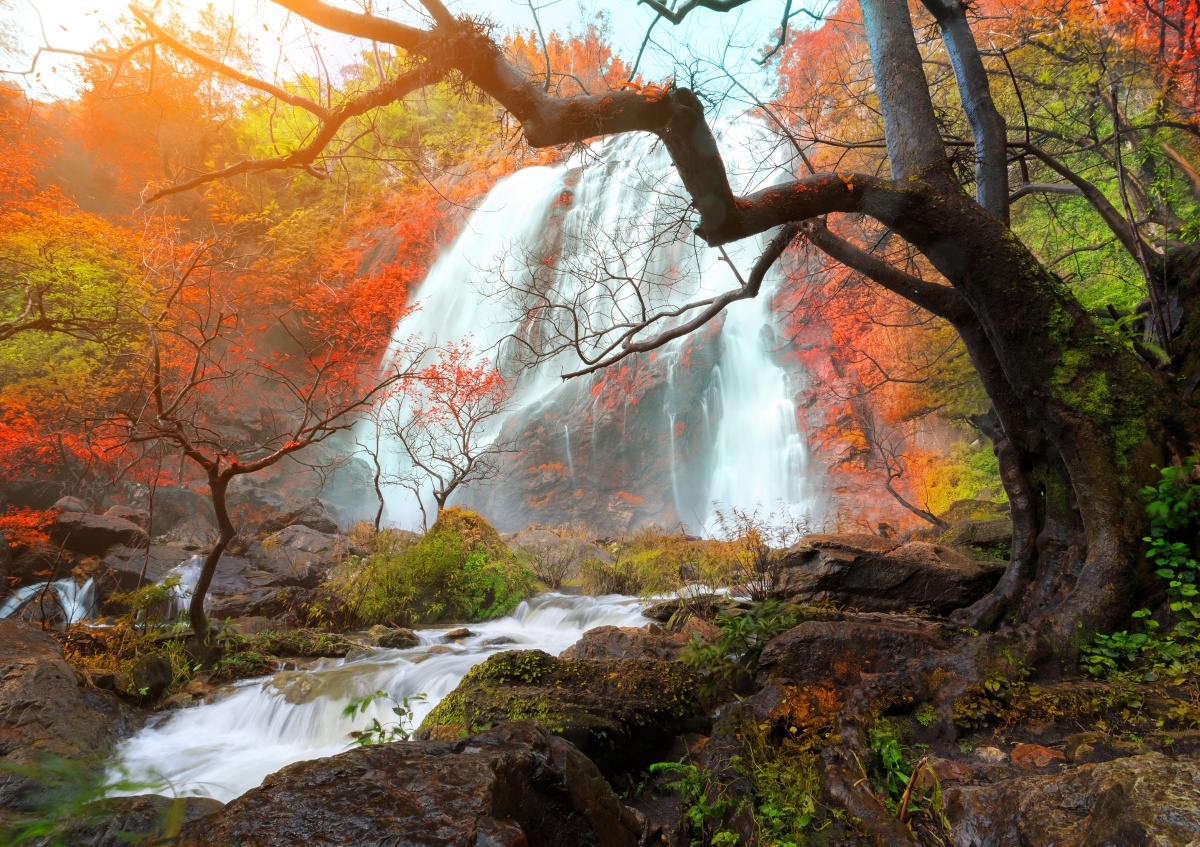 

Fototapeta Flizelinowa Wodospad Tajlandia 208x146