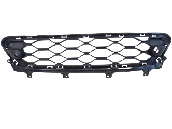 grid of a bumper front front central MINI COUNTRYMAN LIFT 51119477043