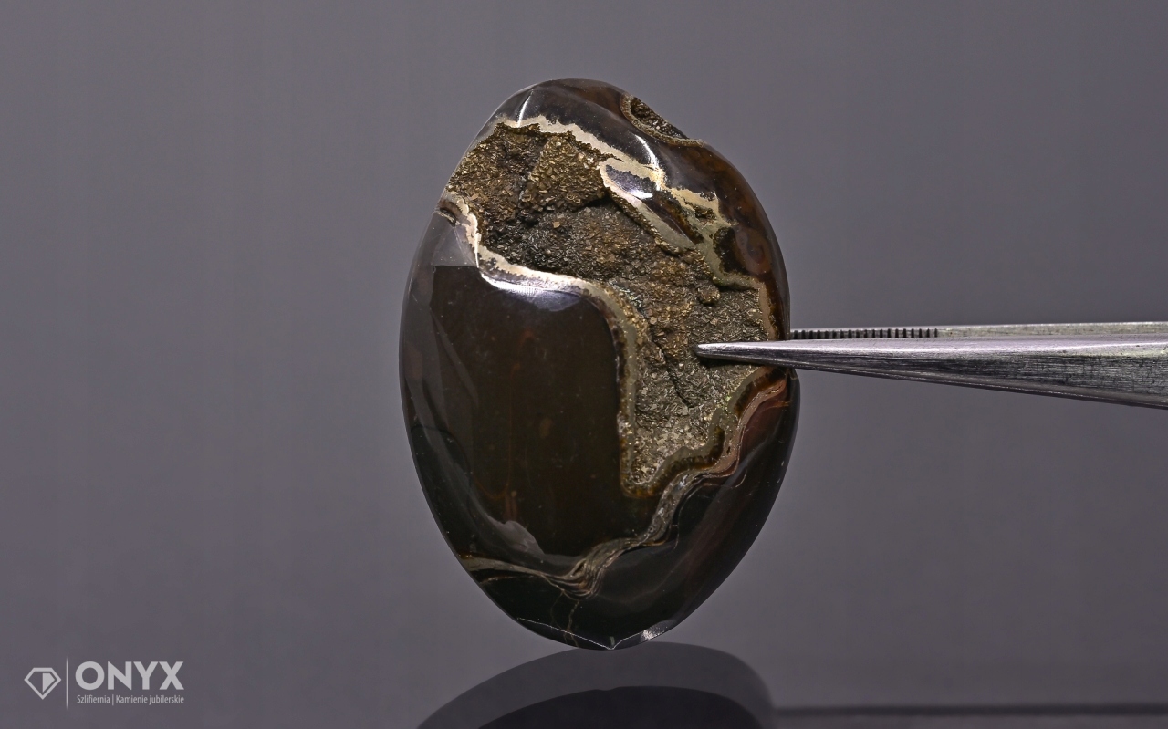 Amonit spiritizovaný nepravidelný 36x26 mm