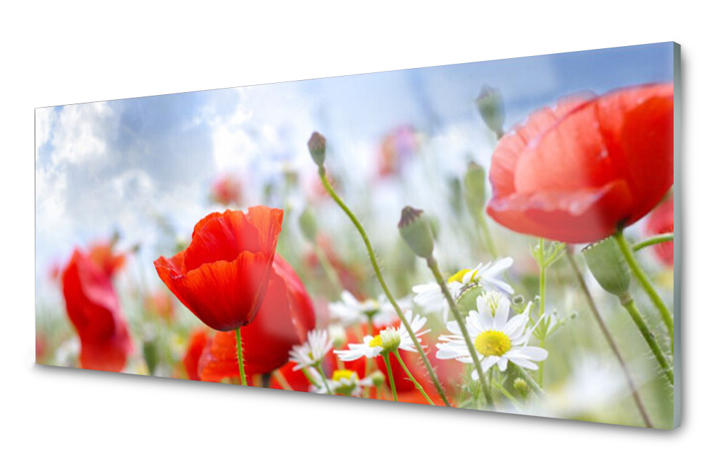 

Panel dekoracyjny Maki Łąka Kwiaty 125x50
