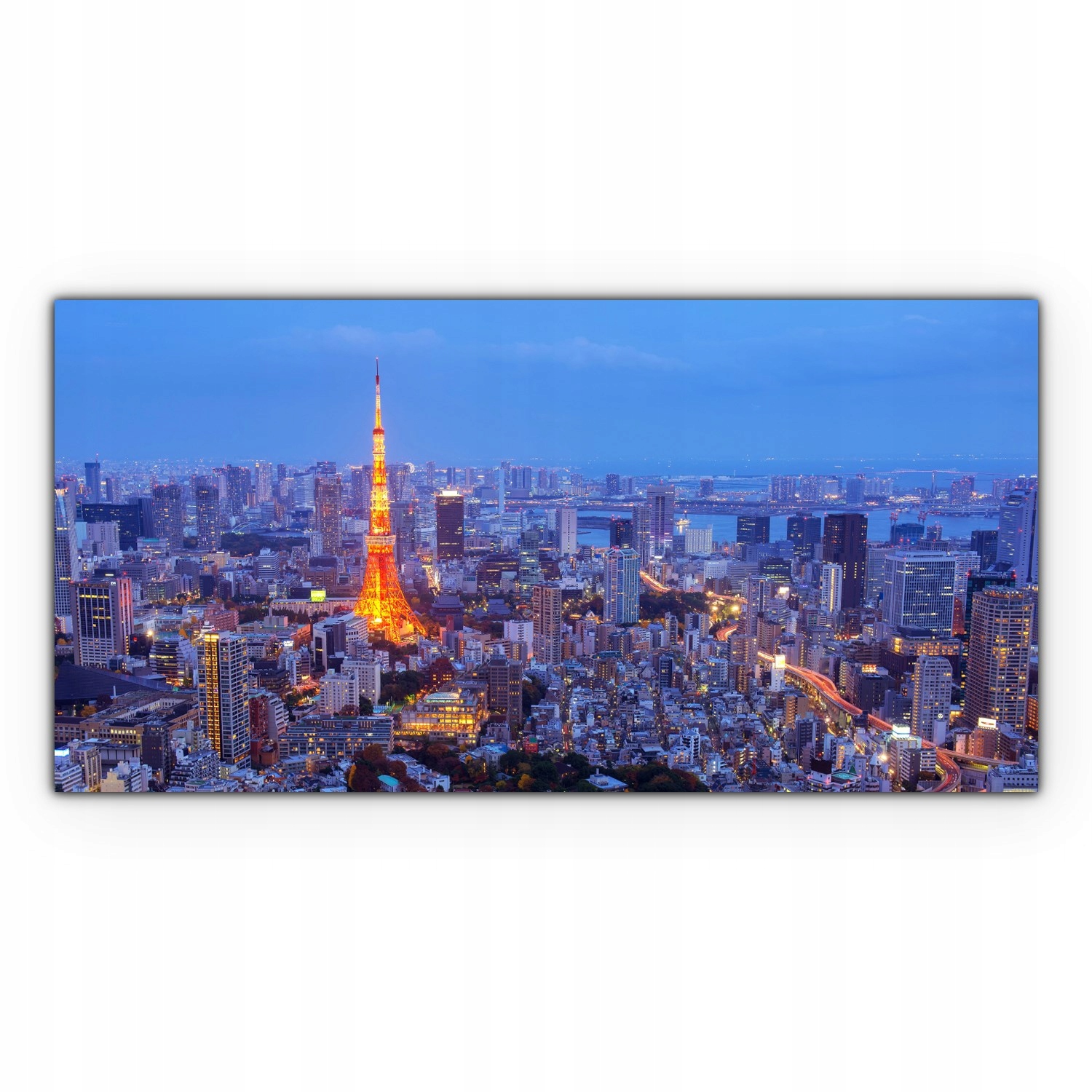 

Obraz canvas na ścianę 120x60 Tokio Japonia Miasto