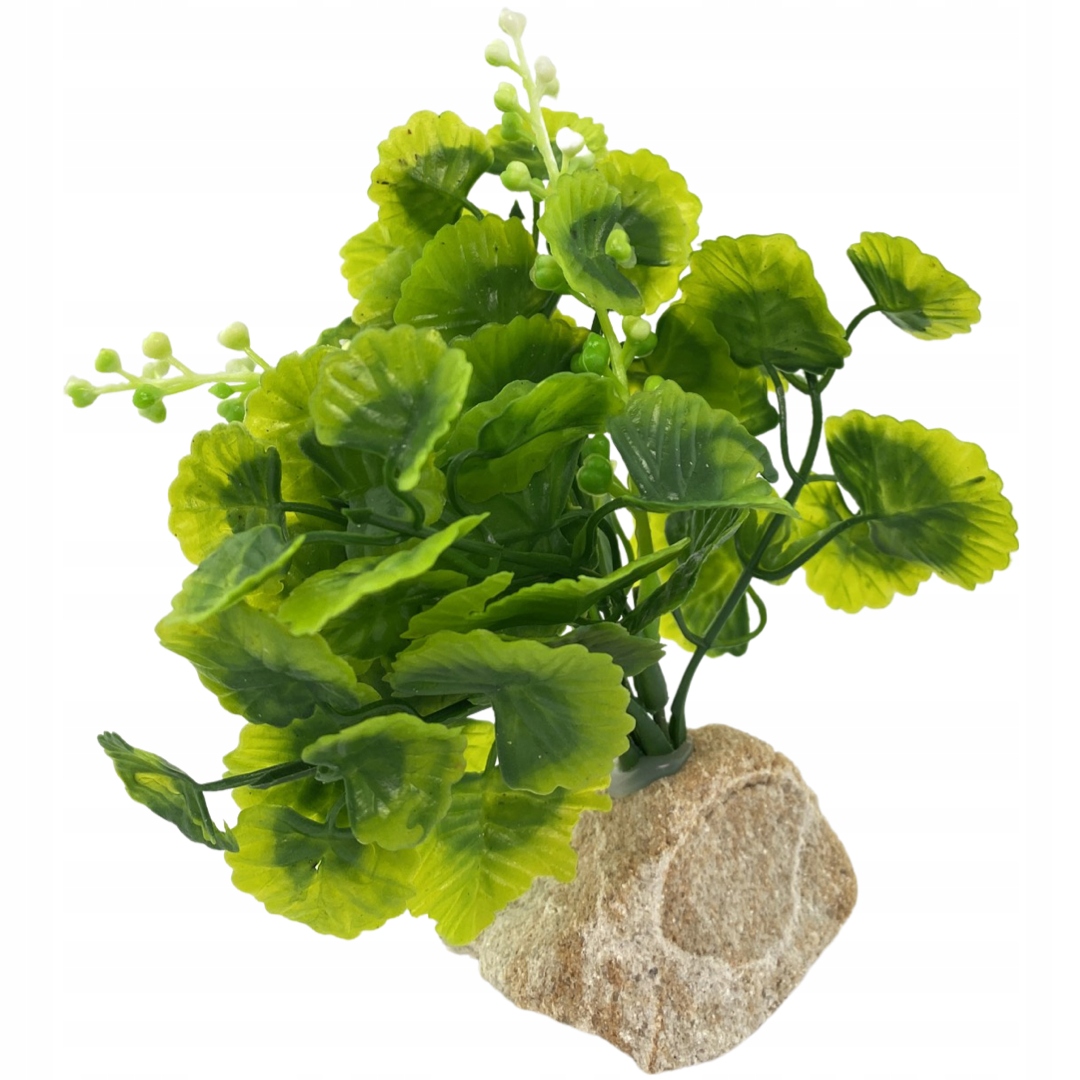 

Roślina Roślinka Sztuczna Do Akwarium Wys. 9 CM
