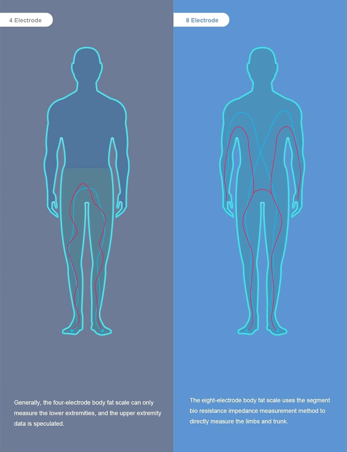 Inteligentna waga łazienkowa Healthkeep BMI z 8 elektrod Android i IOS Y824 Kod producenta PETSOLA-72026983