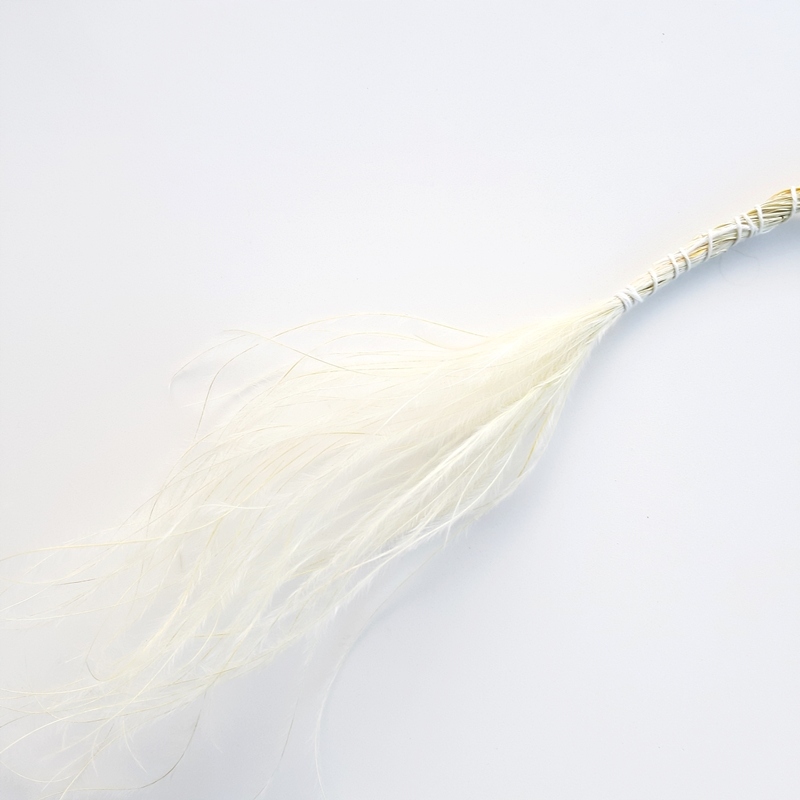 

Stipa Ostnica biała kwiaty suszone Miła Odmiana