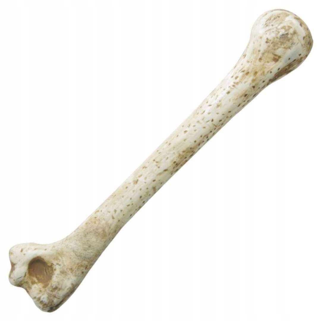 KOŚĆ dekoracja na halloween dodatek do stroju JASKINIOWIEC piszczel