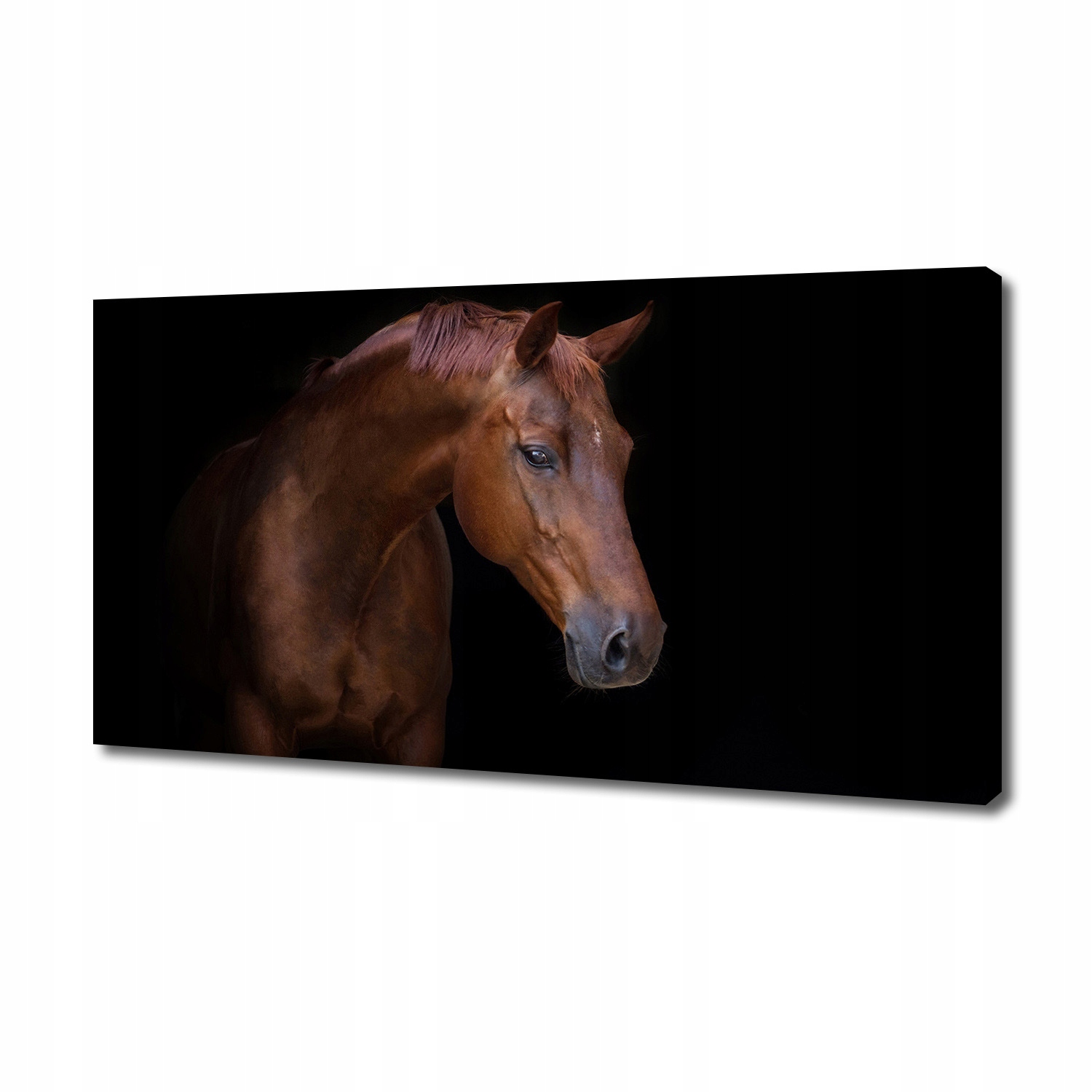 

Foto obraz canvas na ścianę Brązowy koń 140x70 cm