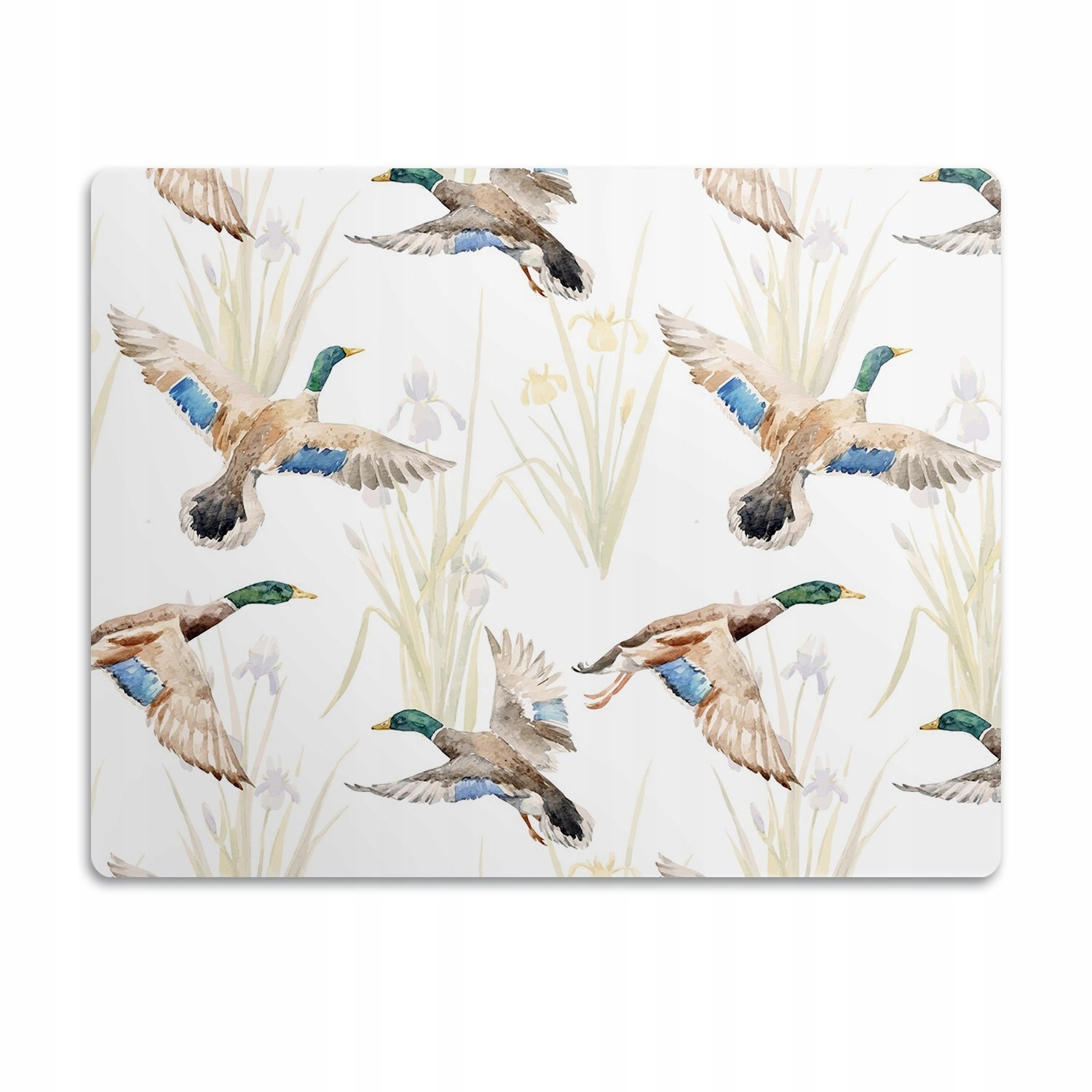 Levně Voděodolná podložka pro kočky psa Kachny 60x40 cm