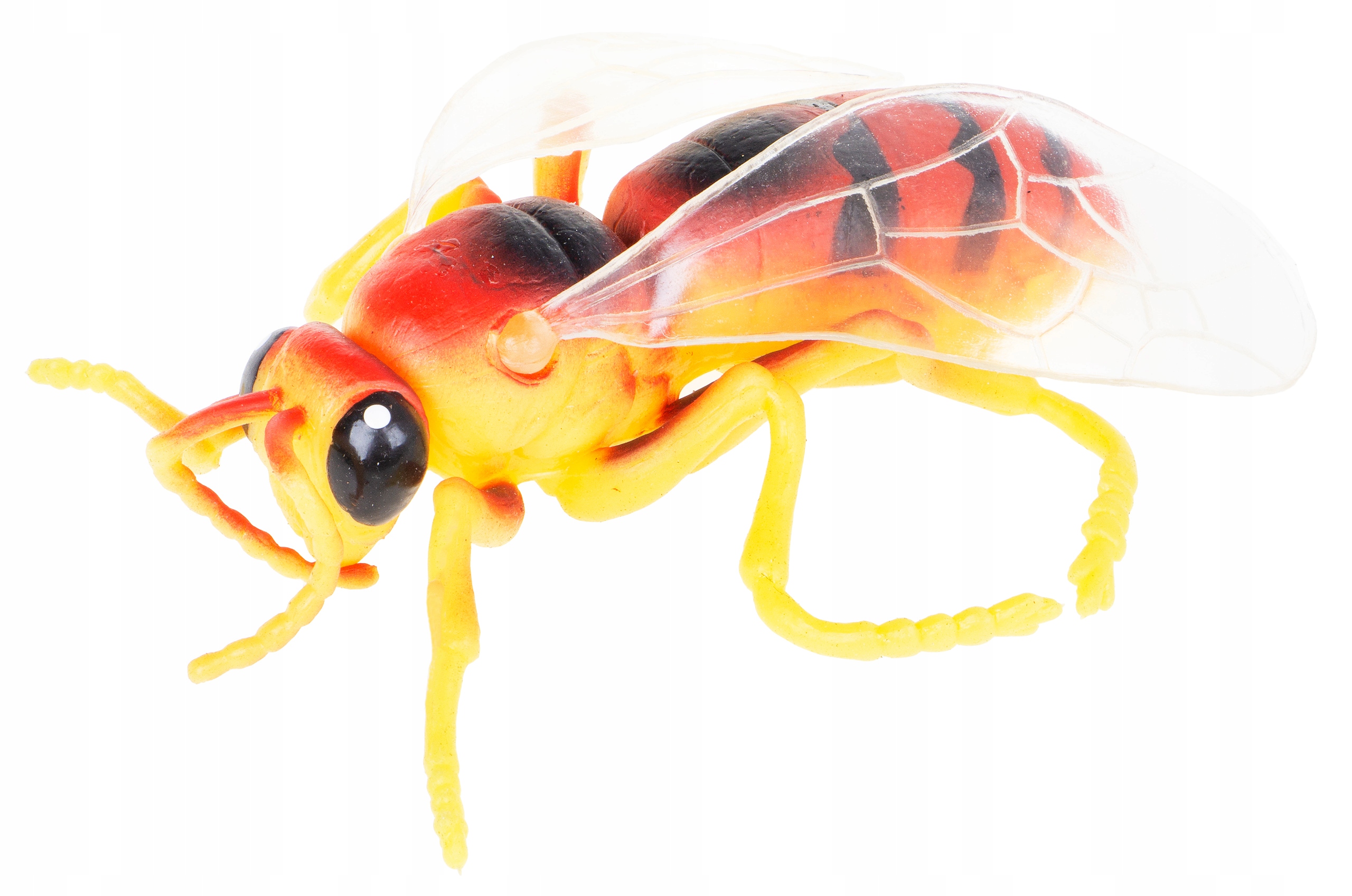 

Szerszeń Gumowy Z Groszkiem Insekty Owady HAB026