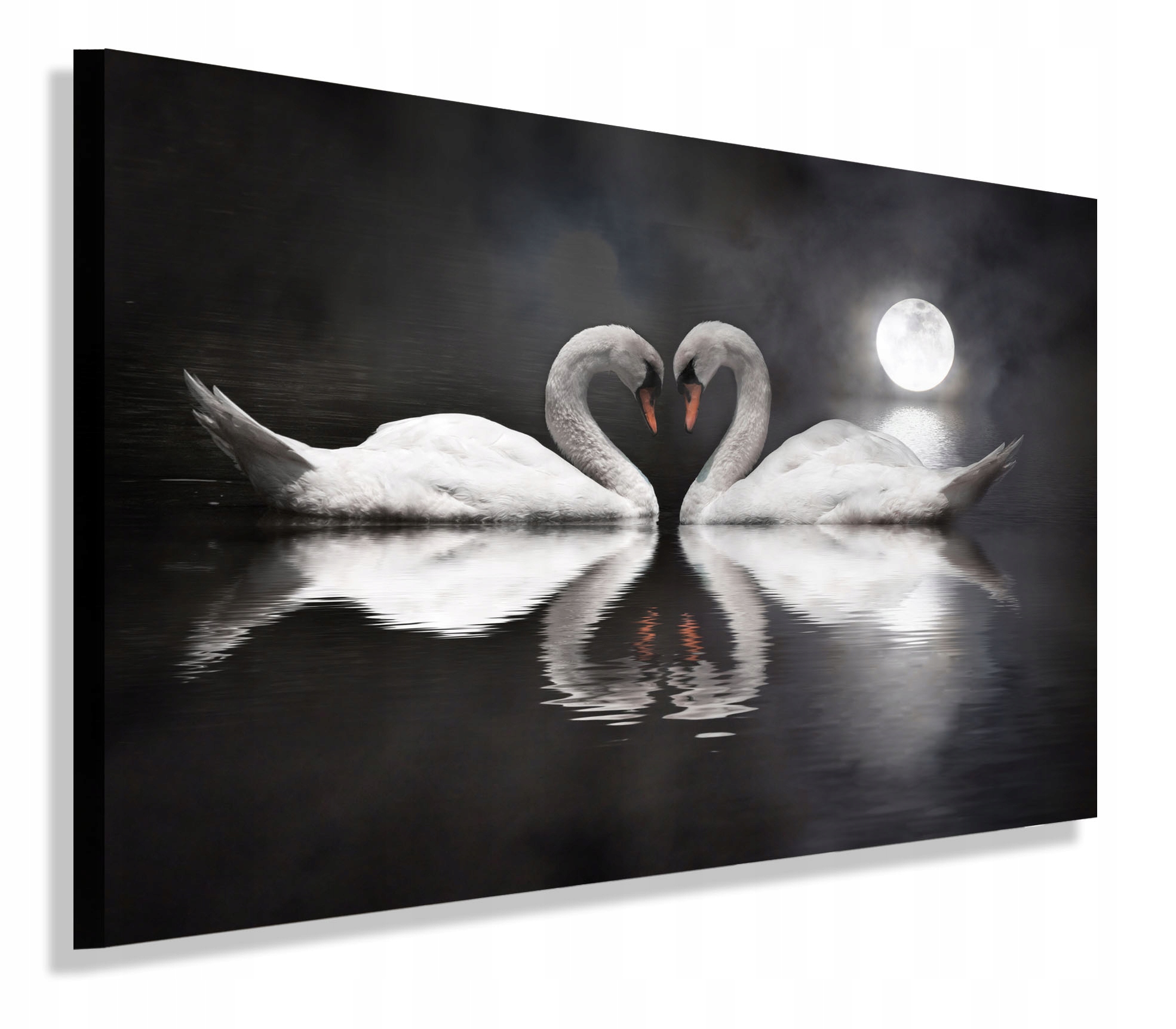 Obraz Dwa Łabędzie Księżyc Obrazy Canvas 100x70