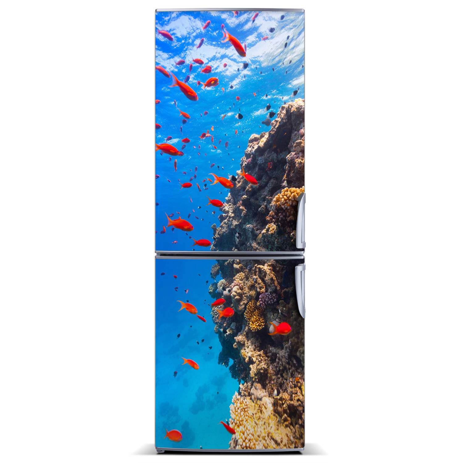 

Naklejka Magnes na lodówkę Rafa koralowa 60x180