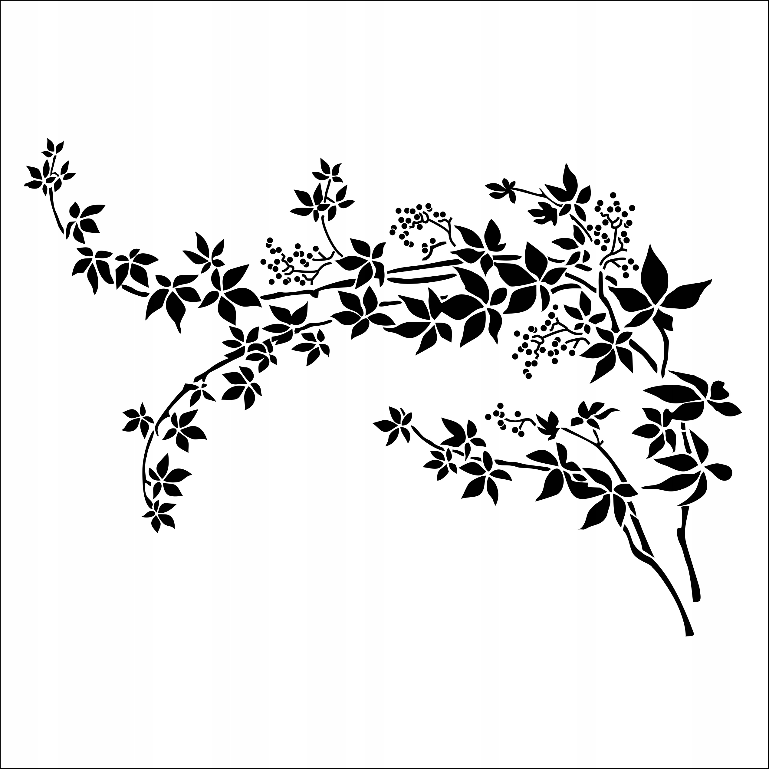 Malířská šablona, opakovaně použitelný šablona //popínavá rostlina//