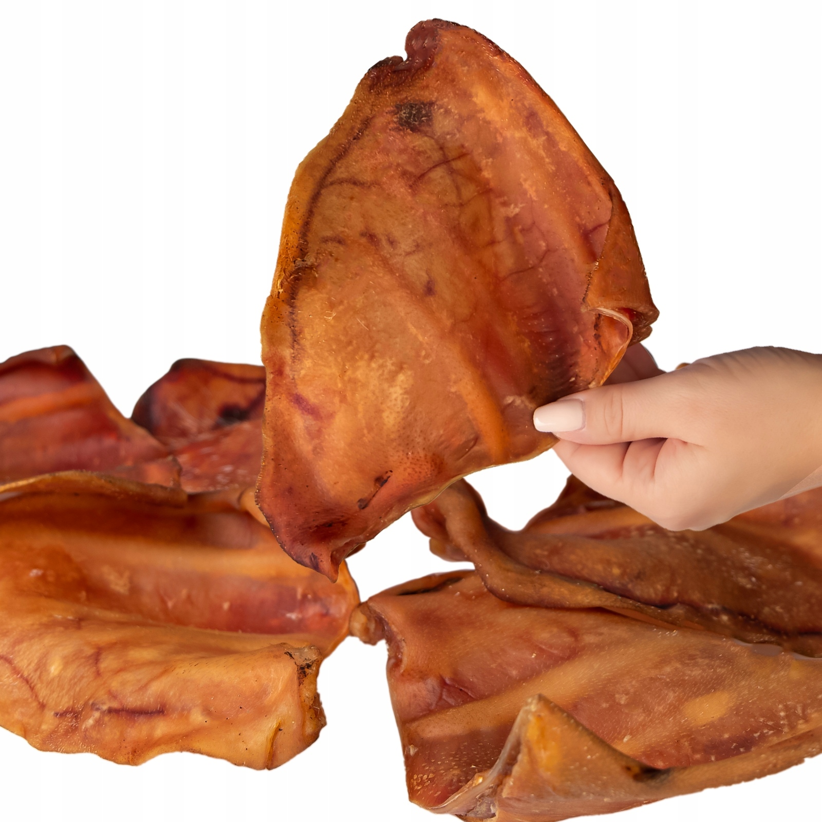 Dogario Bonni Pig's Ear L Kousátko Vepřové Ucho Pro Psa 50 Ks