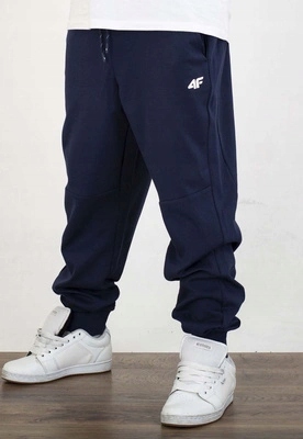 Dresy 4F Regular Cas M1676 modré