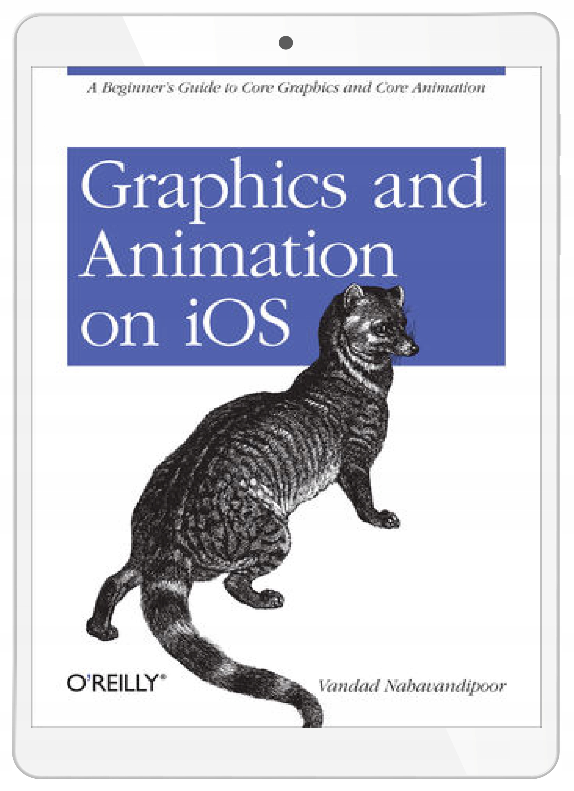 Graphics and Animation on iOS. A Beginner's Guide
