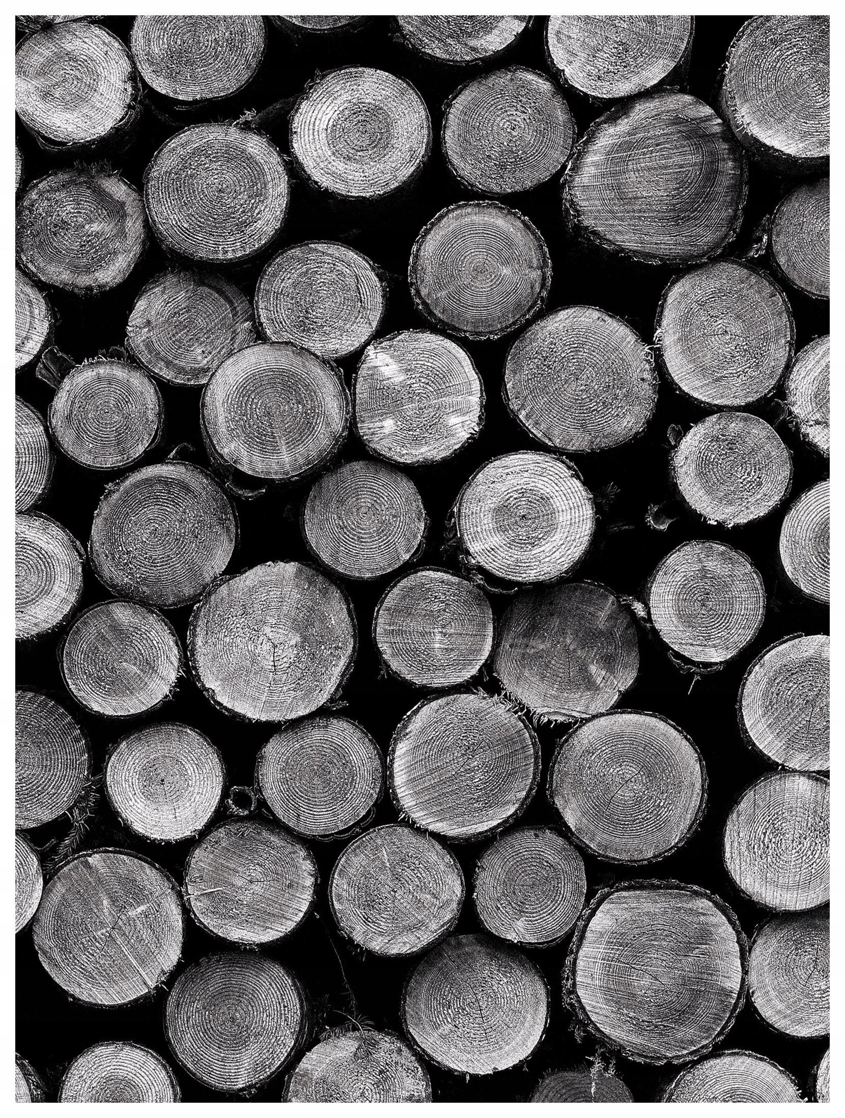 Fototapeta Dřevěné Kladky Struktura 184x254 vinylová lepidlo