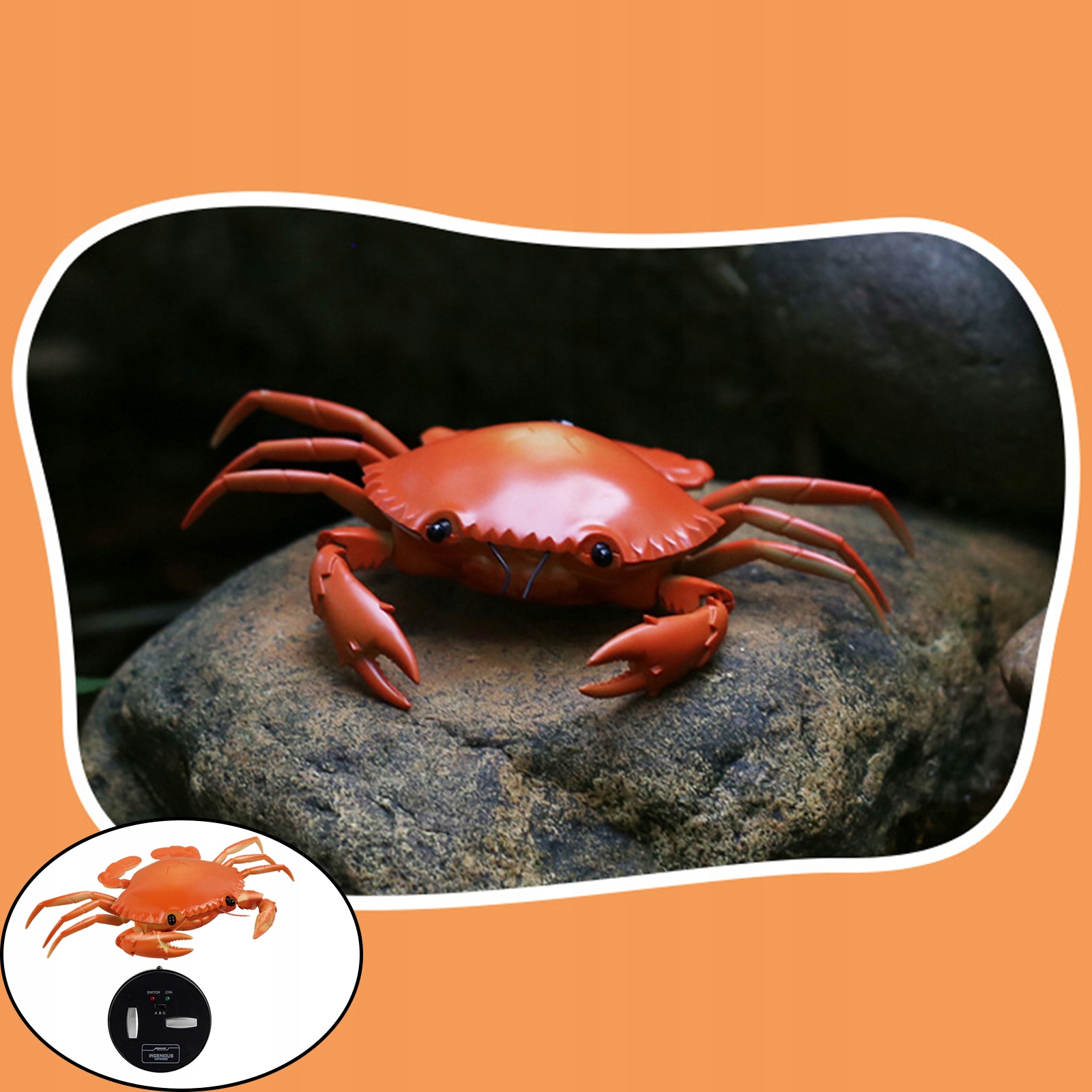 A creative remote-controlled scary crab model Materiał plastik
