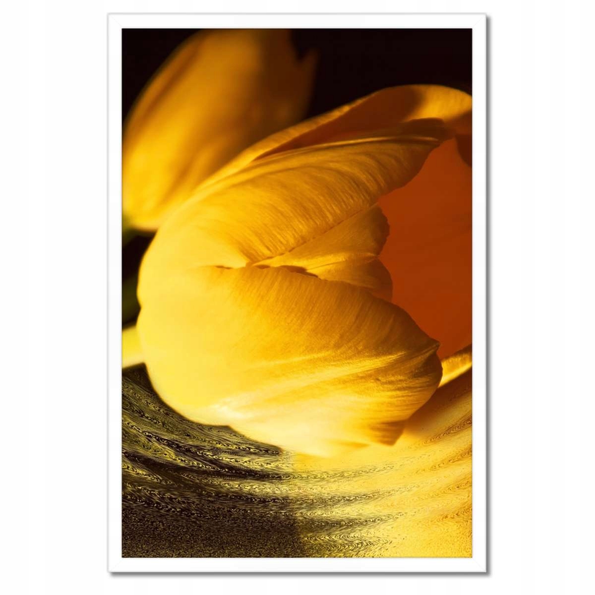 Plakáty v rámu 40x60 Žluto-zlatý tulipán