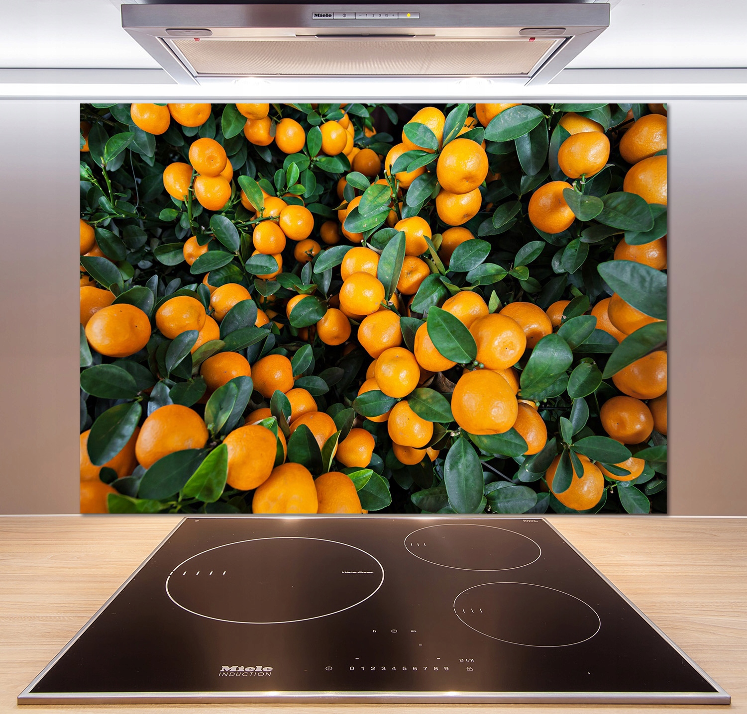 

Panel dekor szkło Mandarynki 100x70 cm + Klej