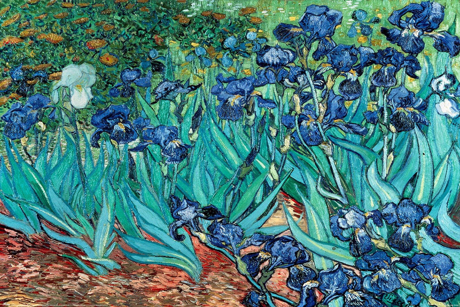 

Van Gogh Vincent Les Irises plakat 61x91,5 cm