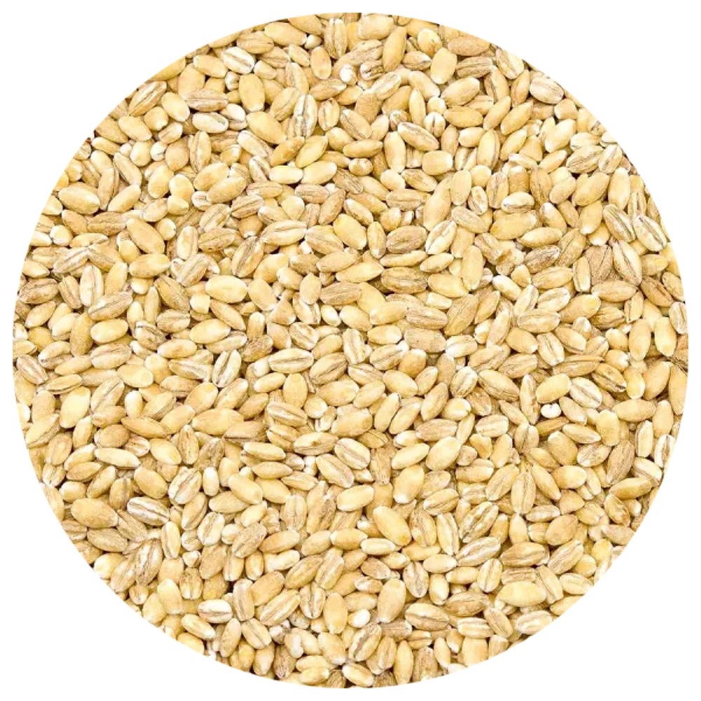Pęczak Jęczmienny Wędkarski Zanętowy 5 kg Czyste Ziarno
