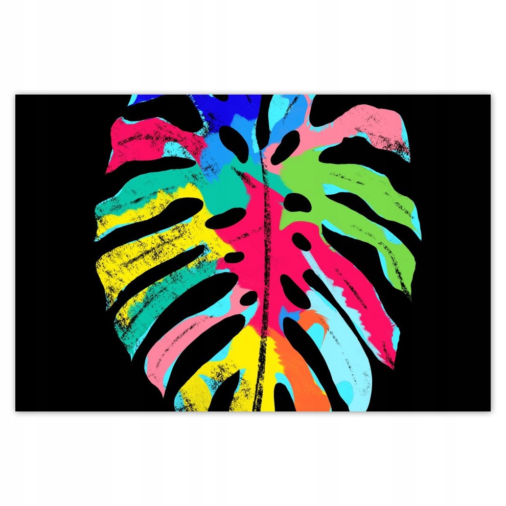 

Plakaty 93x62 Kolorowa Monstera Liść