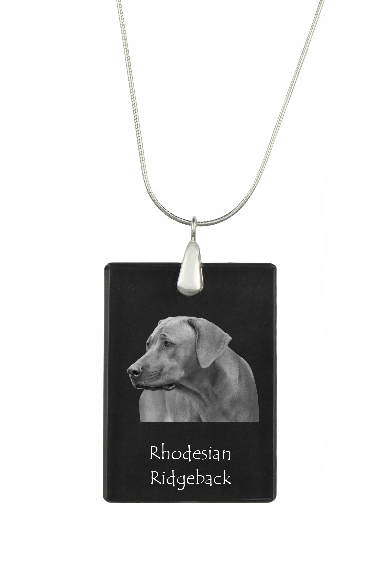 Rhodéský ridgeback stříbrný náhrdelník s křišťálovým přívěskem se psem