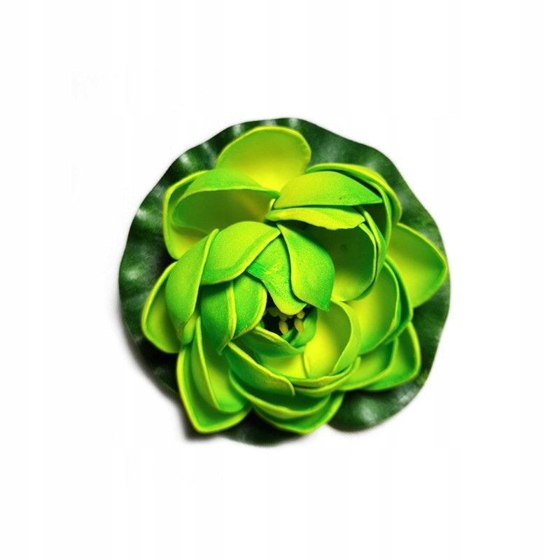 Deep Aqua Lilia do Oczka Wodnego Zielona 10cm Kod producenta DA-LILY-GREEN-8-10