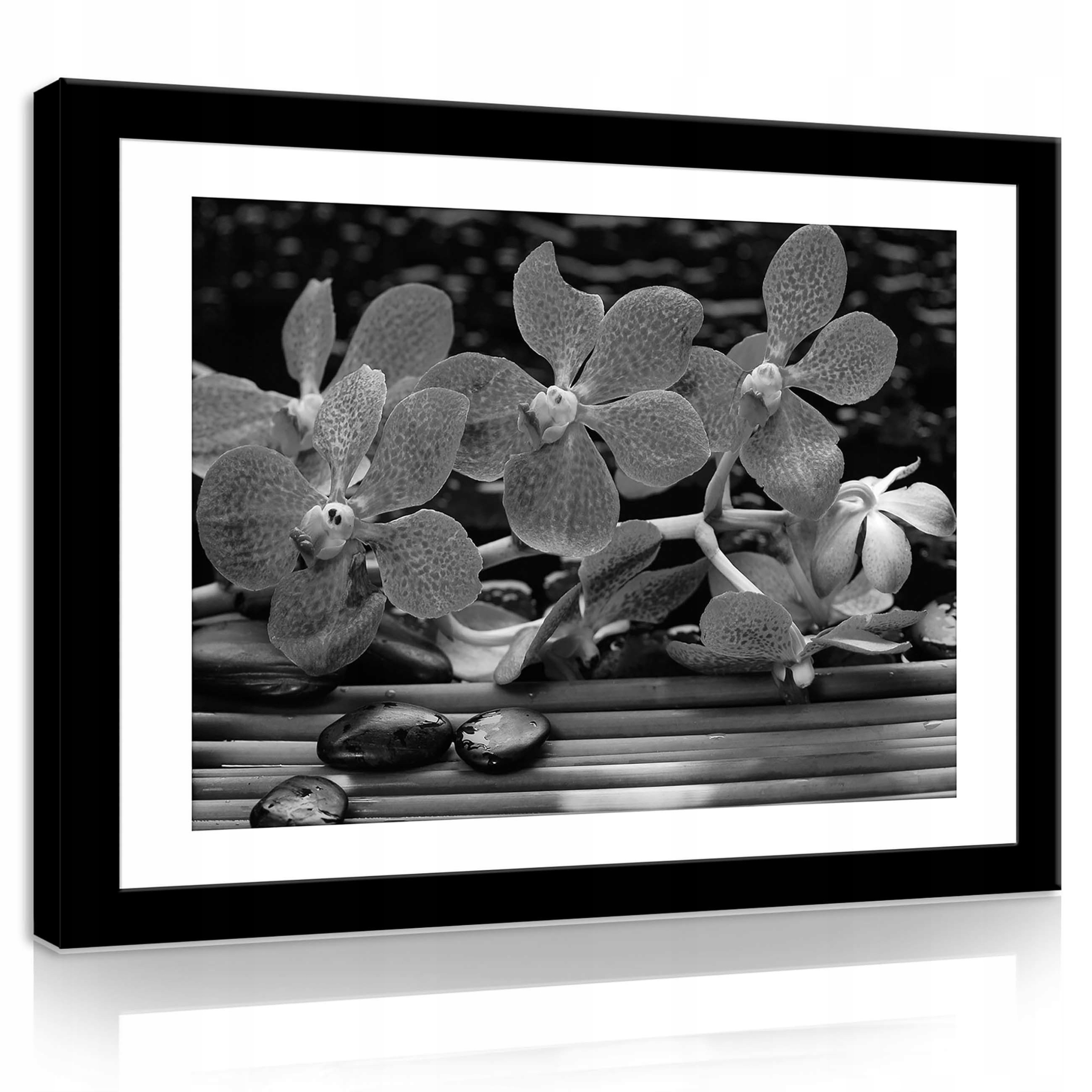 Obraz 100x75 Orchideje květiny okvětní lístky bambus klid příroda