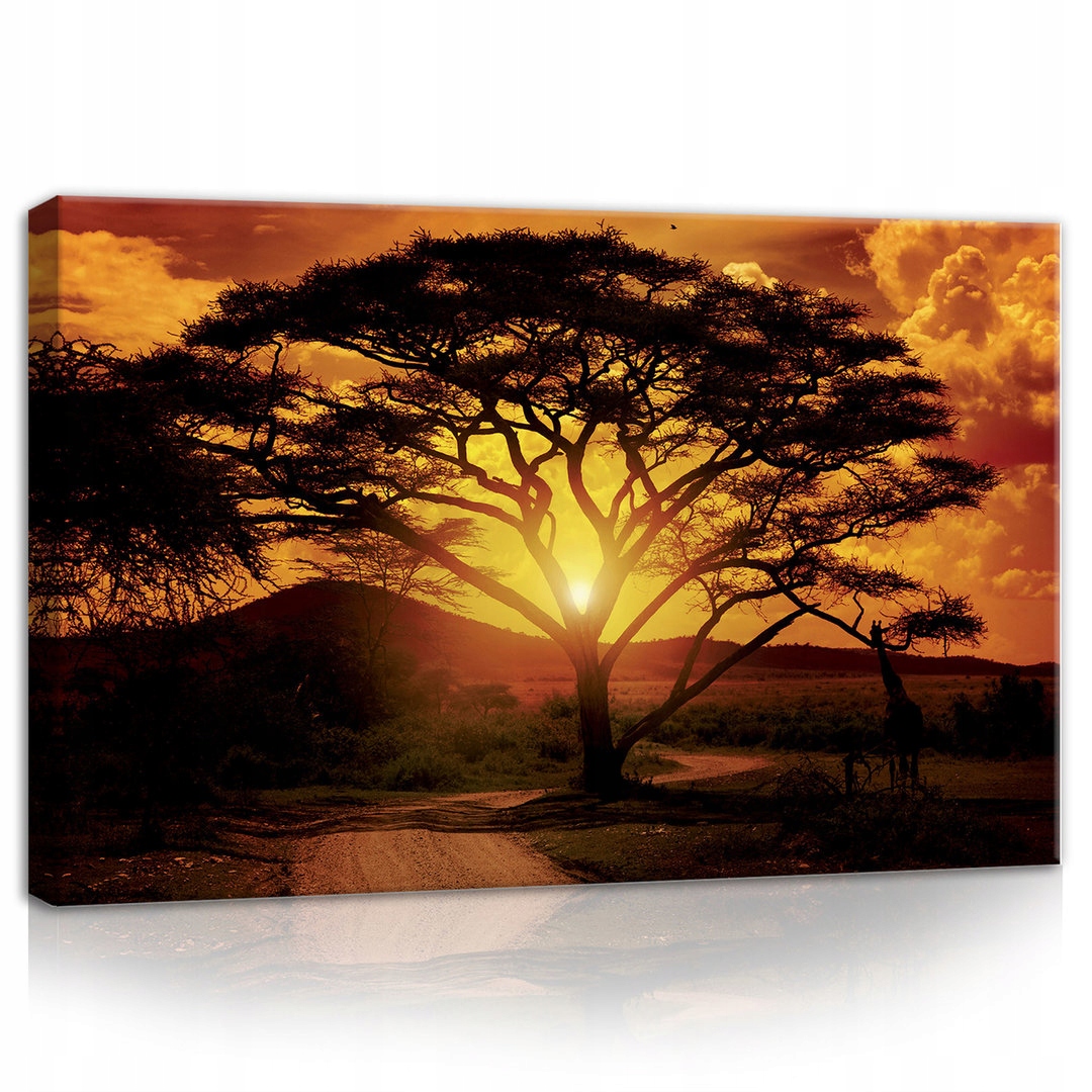 Obraz 80x60 Afrika savana západ slunce akácie strom příroda divoká