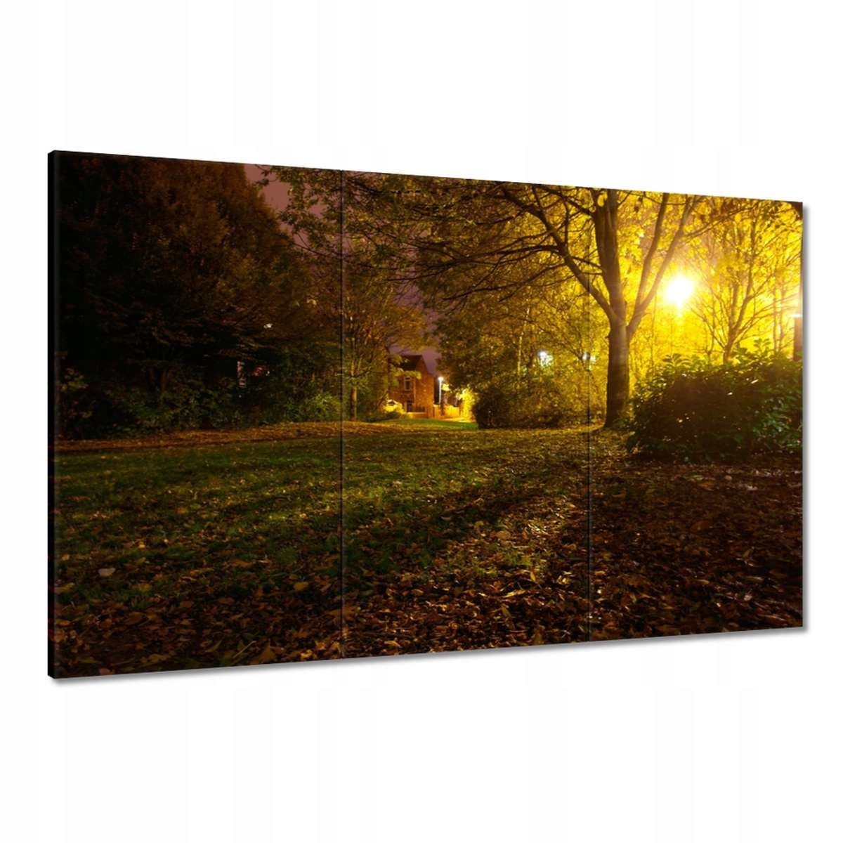 Obrazy 120x80 Park v noci