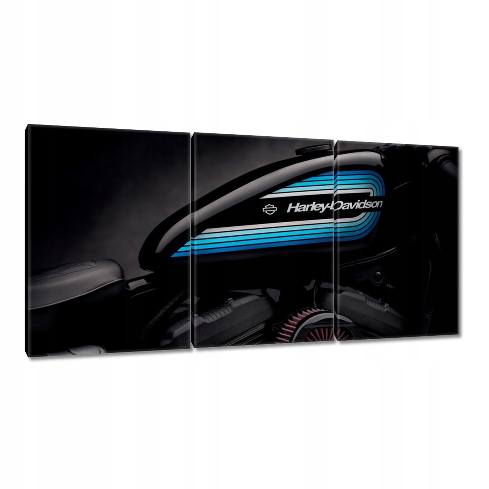 

Obrazy 120x60 Harley Davidson Motocykl
